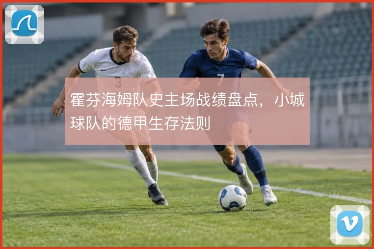 霍芬海姆队史主场战绩盘点,小城球队的德甲生存法则