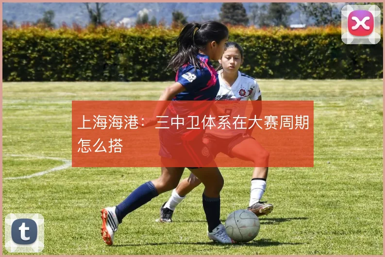 上海海港:三中卫体系在大赛周期怎么搭